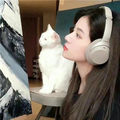 陆昭昭的刺客笔记